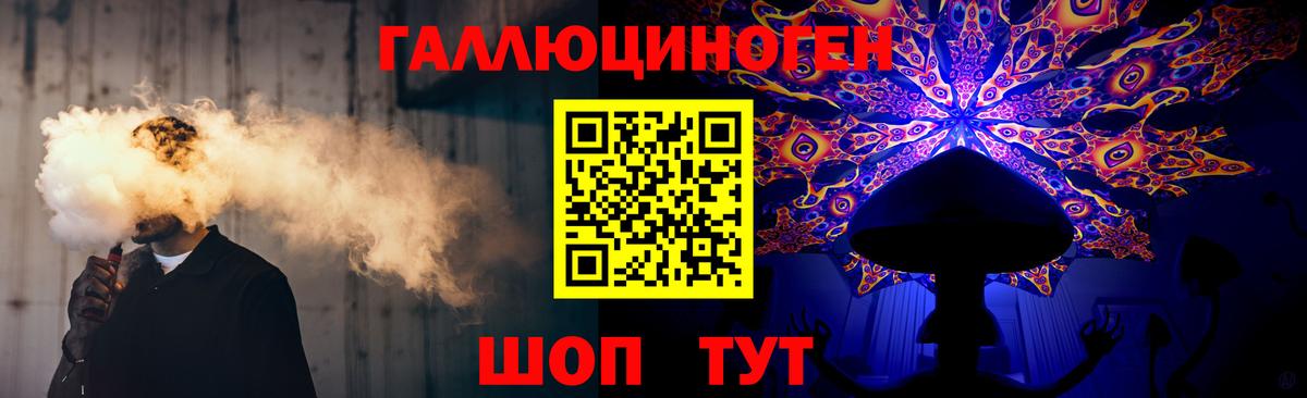 Галлюциногенные грибы Psilocybe Дмитров